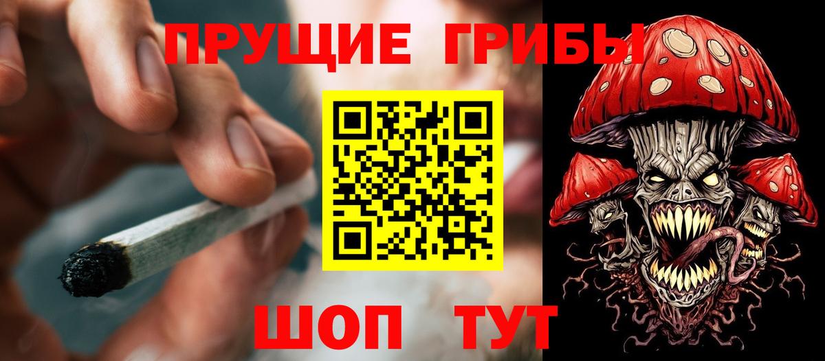Галлюциногенные грибы GOLDEN TEACHER Кудымкар