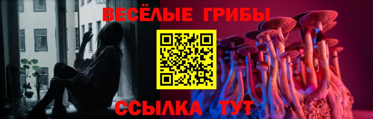 Псилоцибиновые грибы ЛСД  Вход с VPN  Кудымкар  где можно купить   Псилоцибиновые грибы Psilocybe 